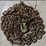 #1100-•-20ft-3/8-g80-chain-image-1