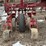 case-ih-cyclo-air-6-row-planter-image-8
