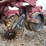 case-ih-cyclo-air-6-row-planter-image-28