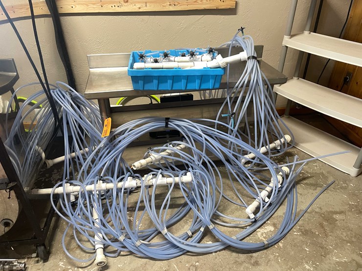 #6183-•-sap-ladders-image-1