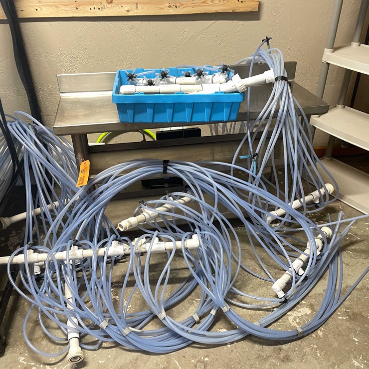 #6183 • Sap Ladders