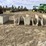 concrete-fenceline-feed-bunks-image-2
