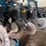 kinze-3660-image-23