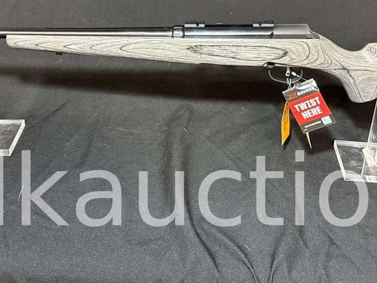 savage-a-17-sporter-17-hmr-rifle-(sn#-sv06795)-(box-image-11