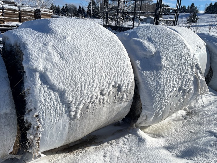 #3823-•-(6)-first-crop-hay-round-bales-image-7