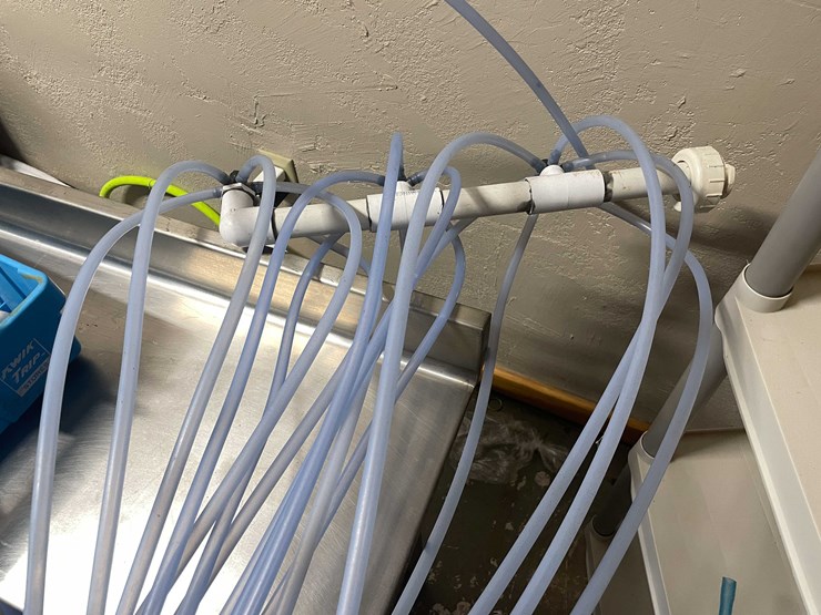 #6183-•-sap-ladders-image-6