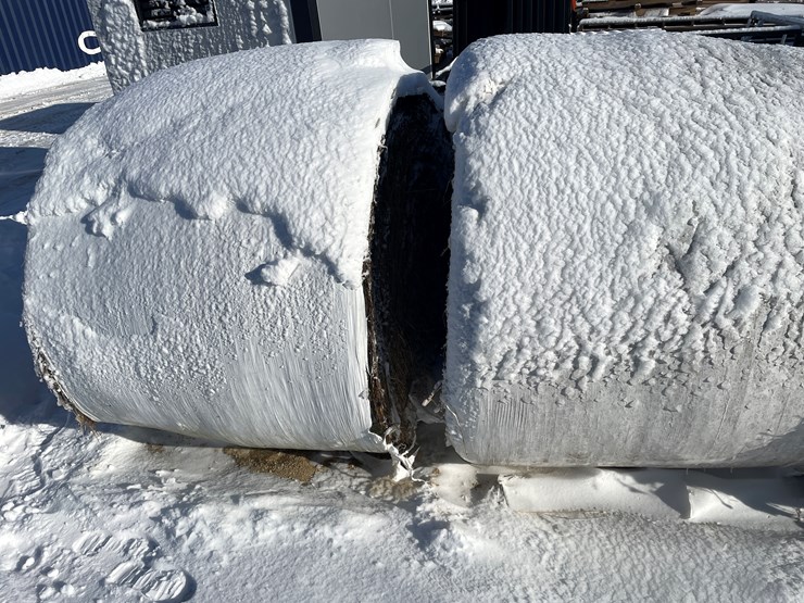 #3823-•-(6)-first-crop-hay-round-bales-image-8