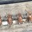 #3795-•-(4)-used-skid-steer-tracks-image-9