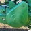 1959-john-deere-730-image-69