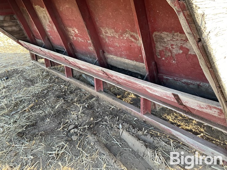 sheep-feeder-image-15