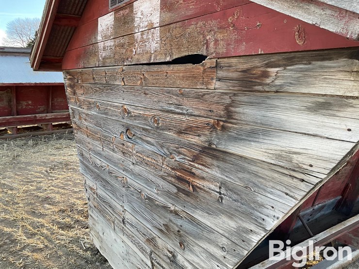 sheep-feeder-image-11