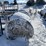 #3823-•-(6)-first-crop-hay-round-bales-image-2