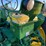 1955-john-deere-70-image-53