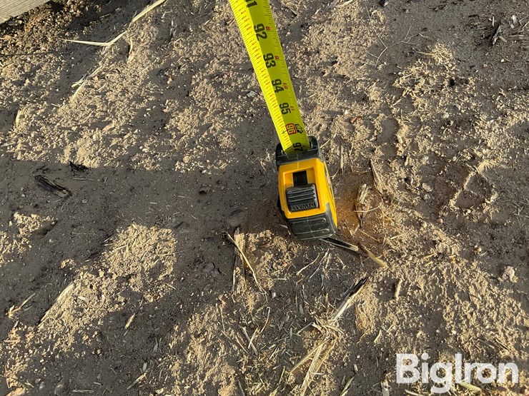 sheep-feeder-image-16