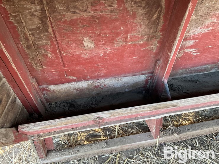 sheep-feeder-image-11