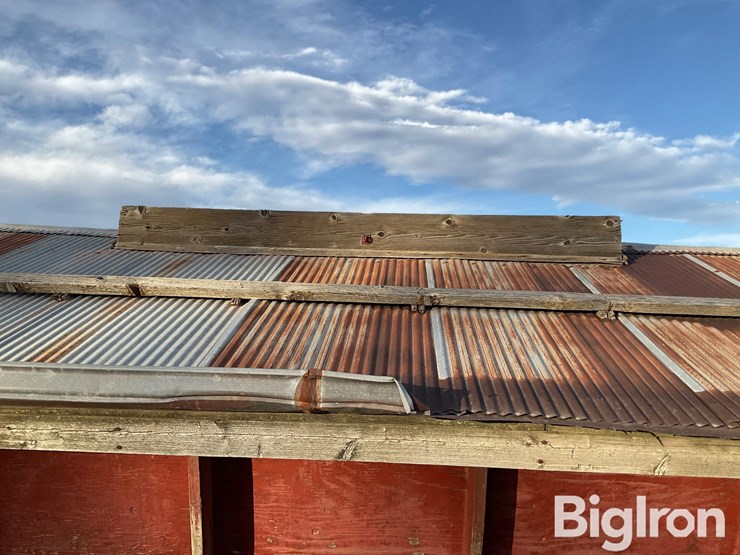 sheep-feeder-image-14