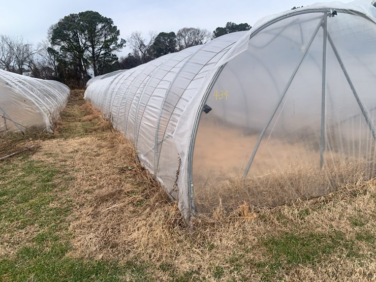 caterpillar-12-image-2