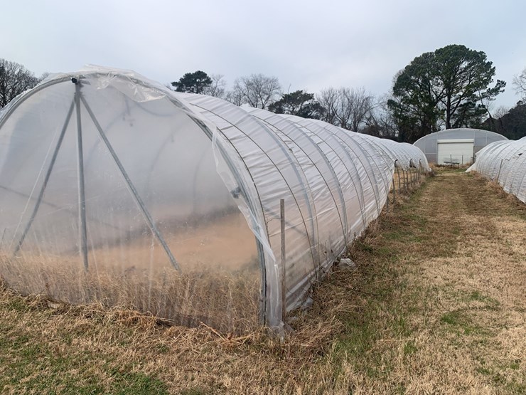 caterpillar-12-image-4