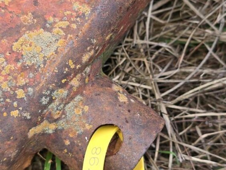 brown-10'-disc,-s/n-2584-image-12