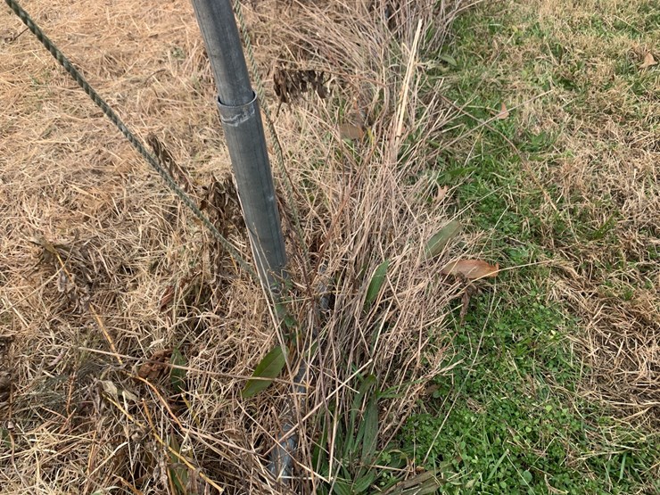 caterpillar-12-image-12