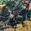 12-row-twin-row-great-plains-planter-image-3