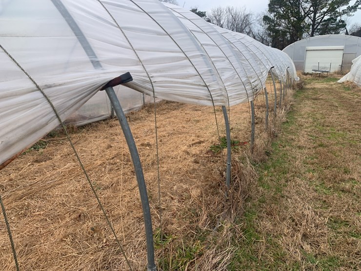 caterpillar-12-image-5