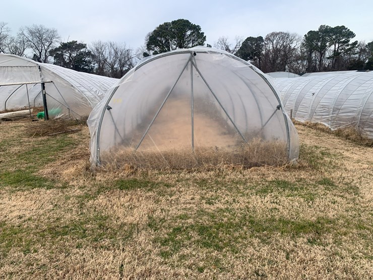 caterpillar-12-image-3