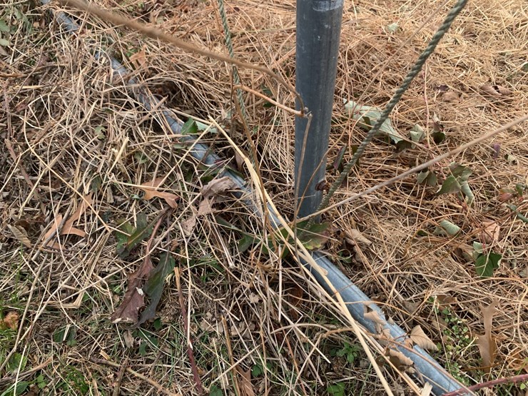 caterpillar-12-image-11