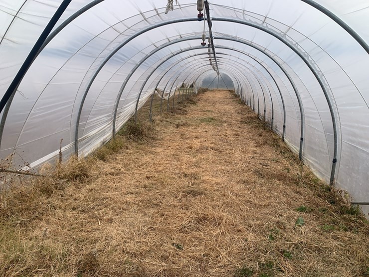 caterpillar-12-image-8