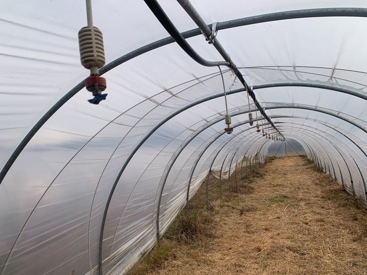 caterpillar-12-image-10