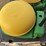 john-deere-7930-image-8