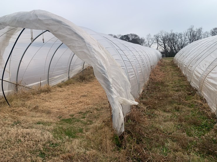 caterpillar-12-image-7