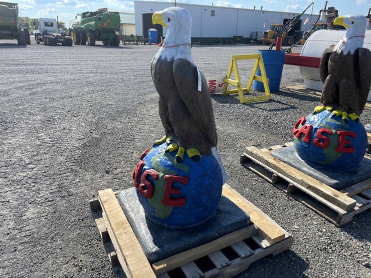 #112821-•-case-eagle-image-2