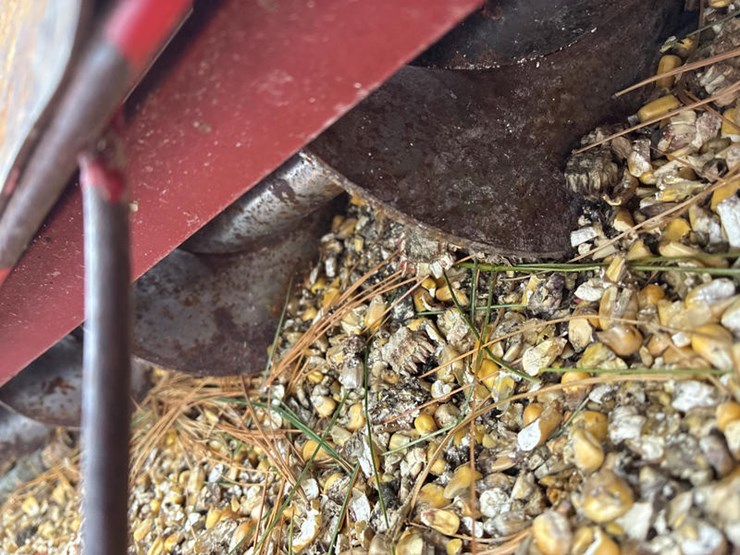 #122922-•-hutchison-10x71-auger-image-35