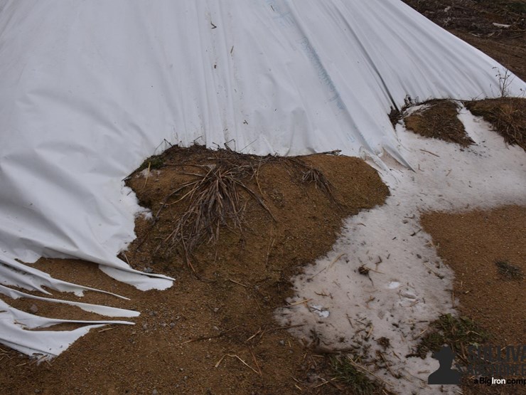 haylage-feed-image-3