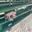 arrowquip-heeler-towable-gooseneck-corral-pen-image-13