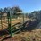 arrowquip-heeler-towable-gooseneck-corral-pen-image-14