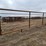 24'x6'-free-standing-metal-corral-panel-image-1
