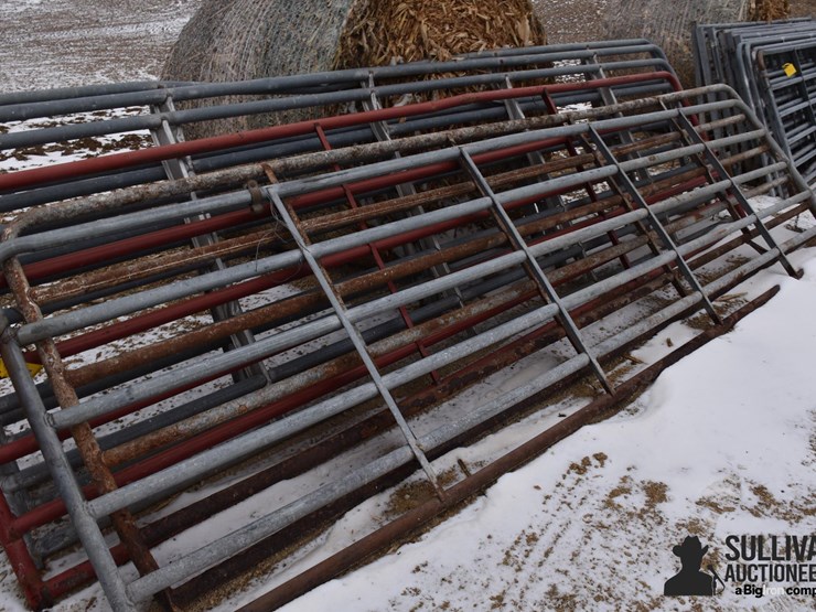 16'-cattle-gates-image-3