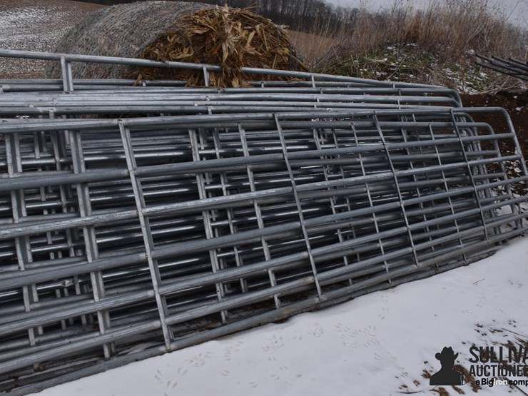 16'-cattle-gates-image-3