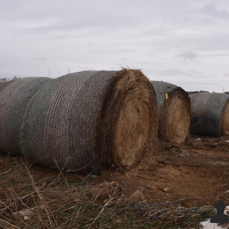 Grass Hay (BID PER UNIT)