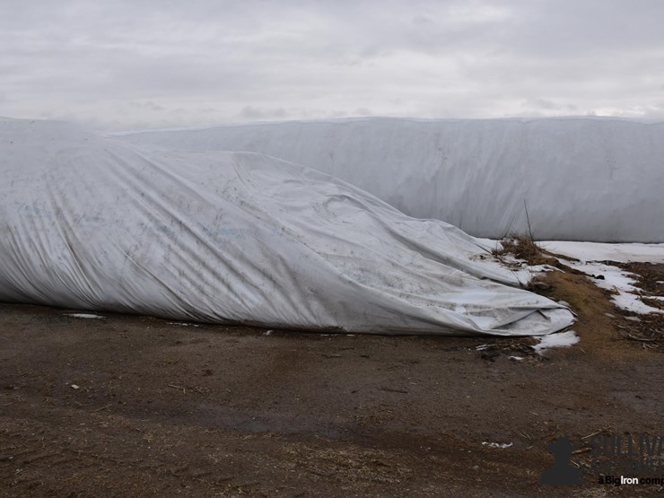 wheatlage-silage-image-2