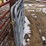 10'-livestock-gates-image-3
