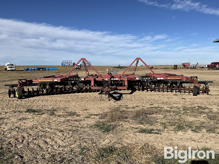 sunflower-1434-36-image-2