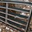 14’-livestock-gates-image-4