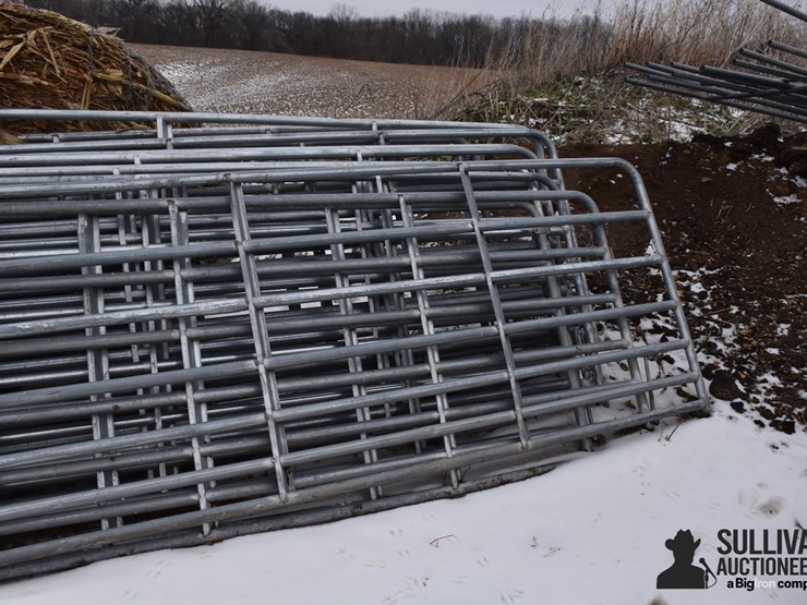 16'-cattle-gates-image-4