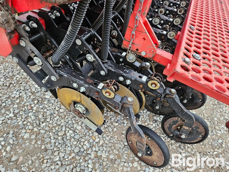 sunflower-9412-20-image-15