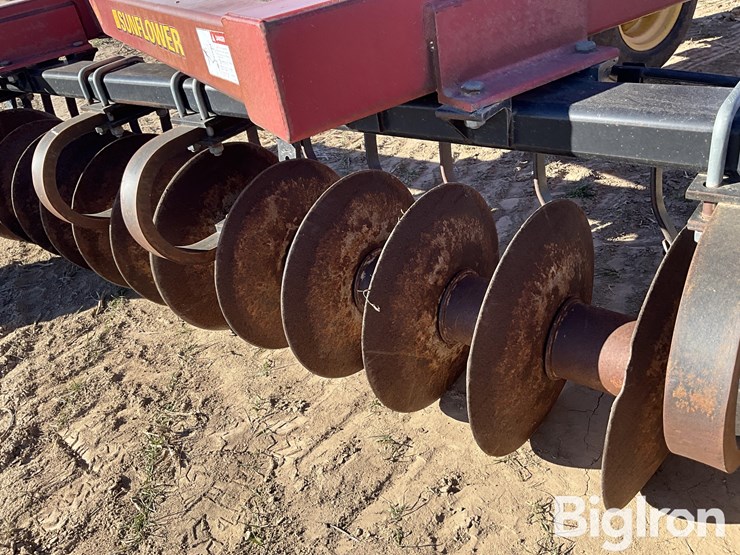 sunflower-1434-36-image-18