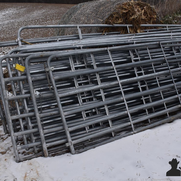 16' Cattle Gates