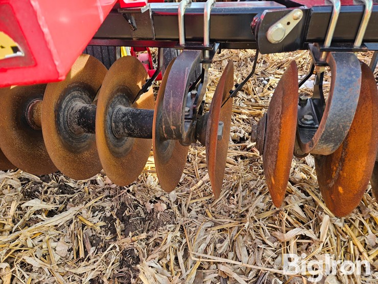 2014-sunflower-1435-image-15